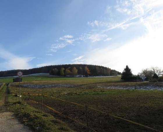 Auch dieses Herbst Foto ist heute entstanden.