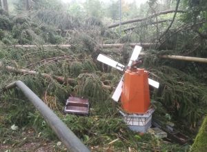 Die Windmühle . Eine der durch den Tornado stark beschädigten Miniaturen auf der Rentnersruh.